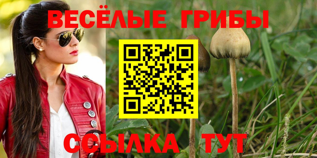 Торжок  Галлюциногенные грибы мицелий  Вход с VPN 