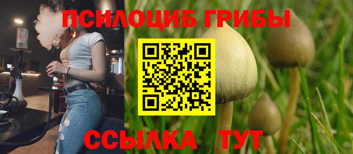 Галлюциногенные грибы мухоморы Торжок
